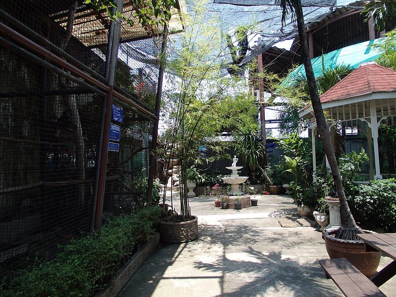 Pata Zoo